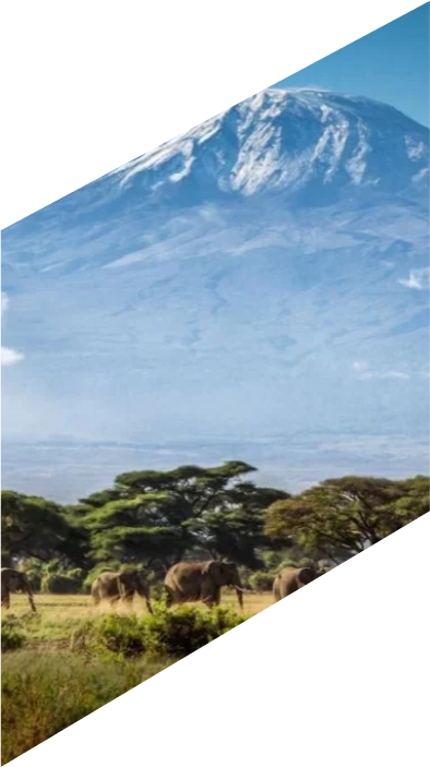 Tanzania – Mt. Kilimanjaro